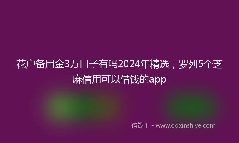 花户备用金3万口子有吗2024年精选，罗列5个芝麻信用可以借钱的app