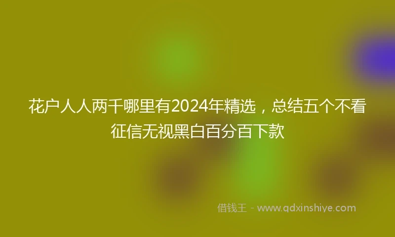 花户人人两千哪里有2024年精选，总结五个不看征信无视黑白百分百下款