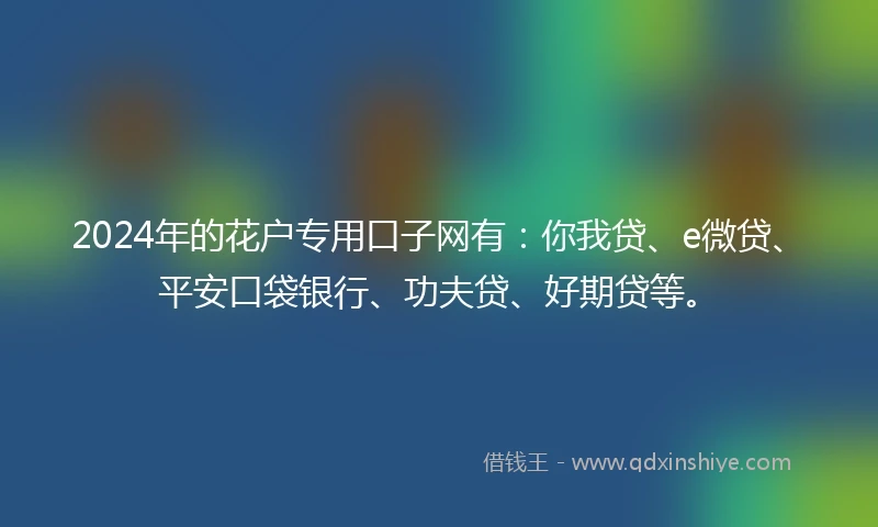 2024年的花户专用口子网有：你我贷、e微贷、平安口袋银行、功夫贷、好期贷等。