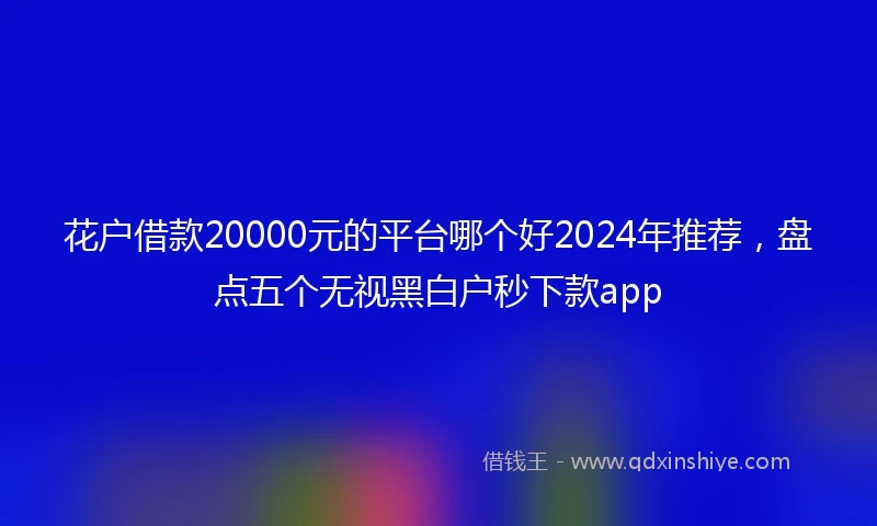 花户借款20000元的平台哪个好2024年推荐，盘点五个无视黑白户秒下款app