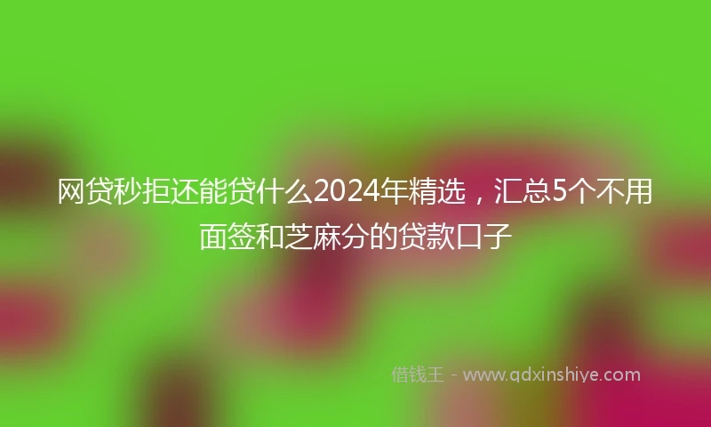 网贷秒拒还能贷什么2024年精选，汇总5个不用面签和芝麻分的贷款口子