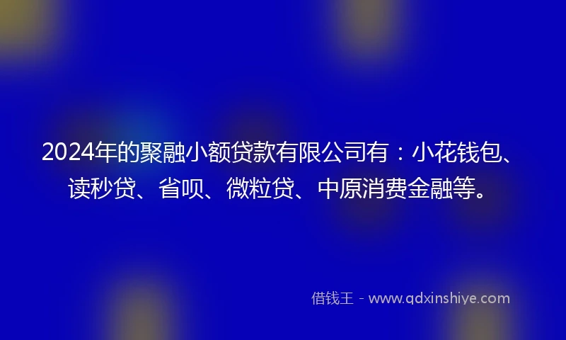 2024年的聚融小额贷款有限公司有：小花钱包、读秒贷、省呗、微粒贷、中原消费金融等。