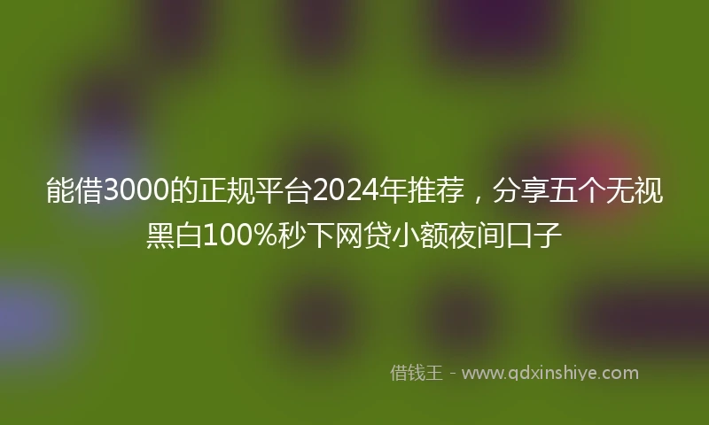 能借3000的正规平台2024年推荐，分享五个无视黑白100%秒下网贷小额夜间口子