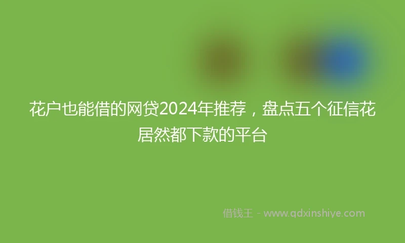 花户也能借的网贷2024年推荐，盘点五个征信花居然都下款的平台