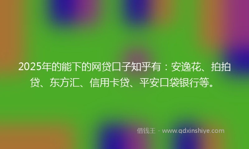 2025年的能下的网贷口子知乎有：安逸花、拍拍贷、东方汇、信用卡贷、平安口袋银行等。