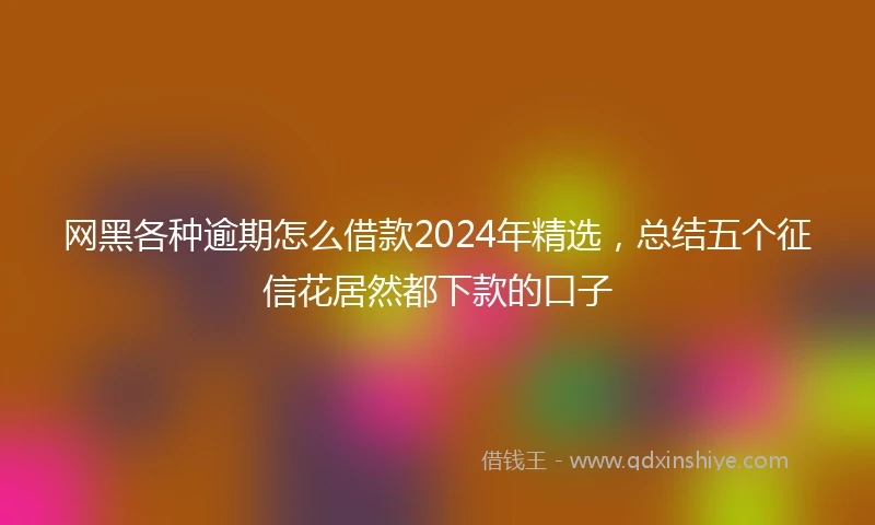 网黑各种逾期怎么借款2024年精选，总结五个征信花居然都下款的口子