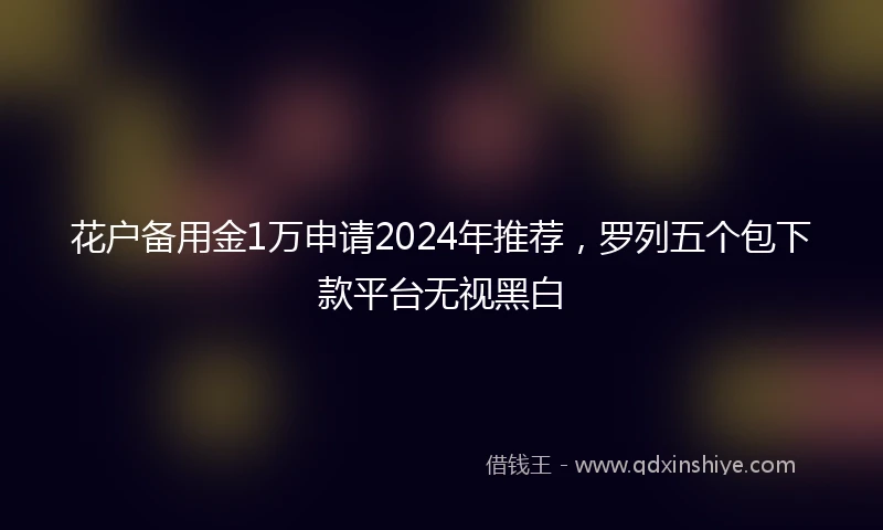 花户备用金1万申请2024年推荐，罗列五个包下款平台无视黑白