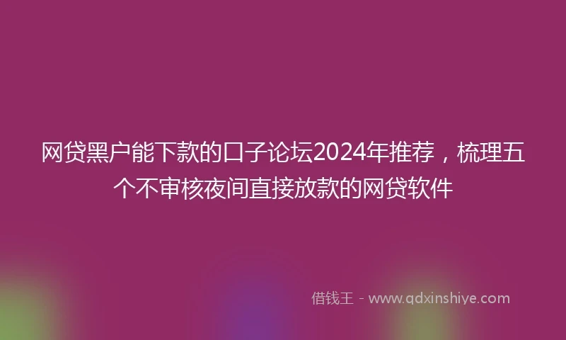网贷黑户能下款的口子论坛2024年推荐，梳理五个不审核夜间直接放款的网贷软件