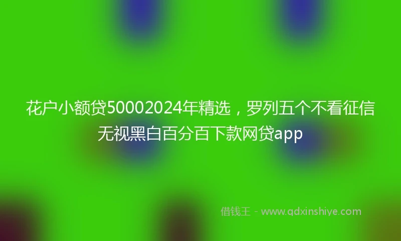 花户小额贷50002024年精选，罗列五个不看征信无视黑白百分百下款网贷app
