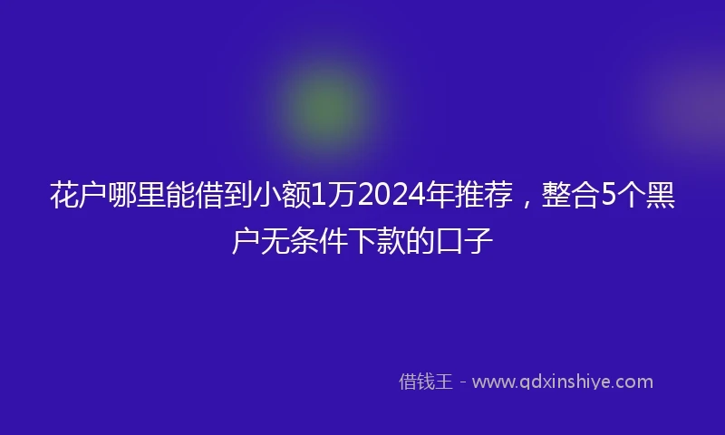 花户哪里能借到小额1万2024年推荐，整合5个黑户无条件下款的口子