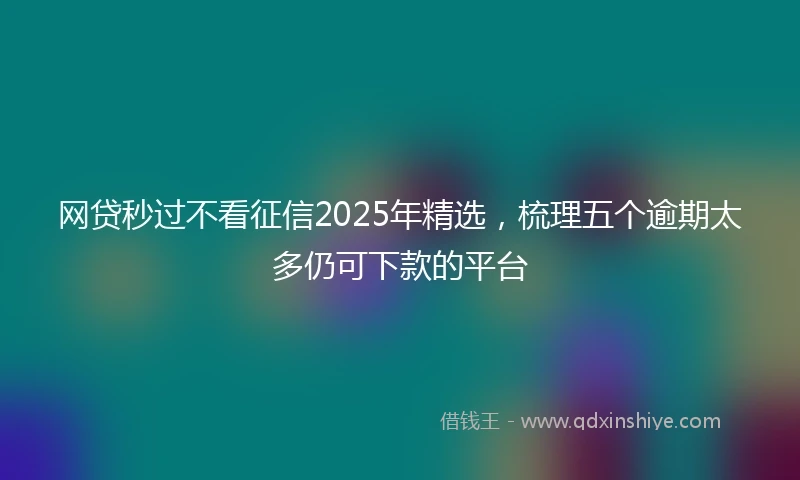 网贷秒过不看征信2025年精选,梳理五个逾期太多仍可下款的平台