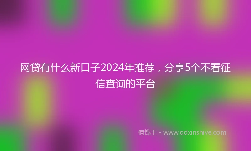 网贷有什么新口子2024年推荐，分享5个不看征信查询的平台
