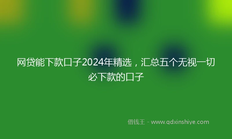 网贷能下款口子2024年精选，汇总五个无视一切必下款的口子