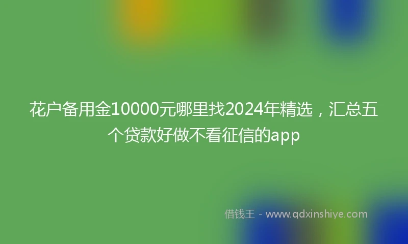 花户备用金10000元哪里找2024年精选，汇总五个贷款好做不看征信的app