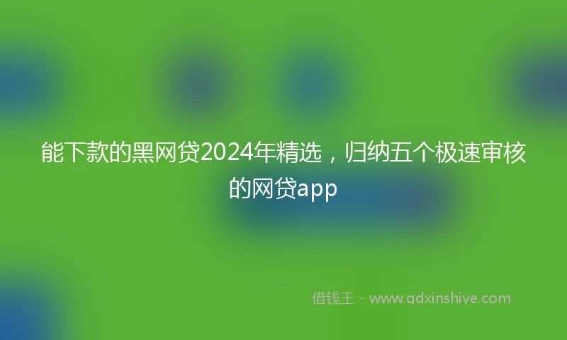 能下款的黑网贷2024年精选，归纳五个极速审核的网贷app