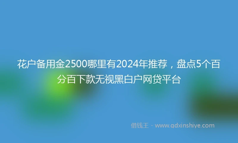 花户备用金2500哪里有2024年推荐，盘点5个百分百下款无视黑白户网贷平台