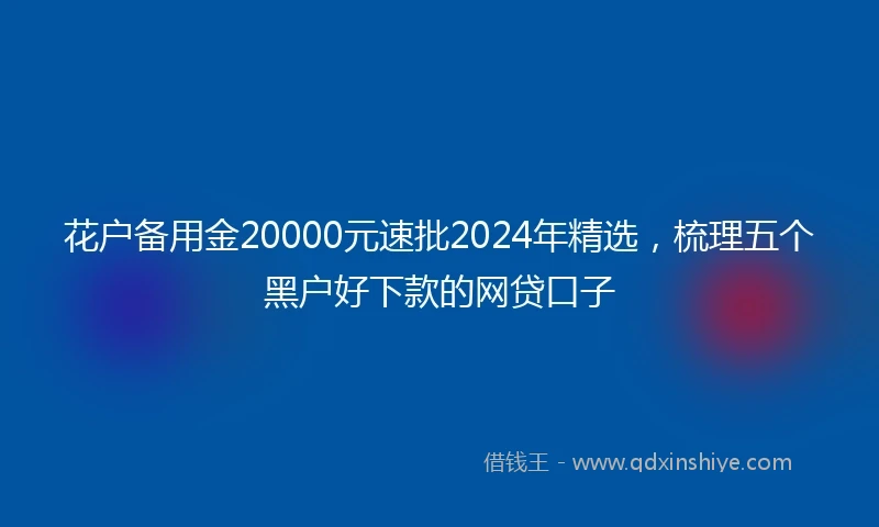 花户备用金20000元速批2024年精选，梳理五个黑户好下款的网贷口子