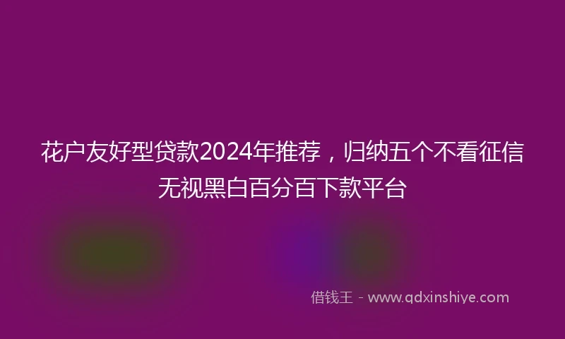 花户友好型贷款2024年推荐，归纳五个不看征信无视黑白百分百下款平台