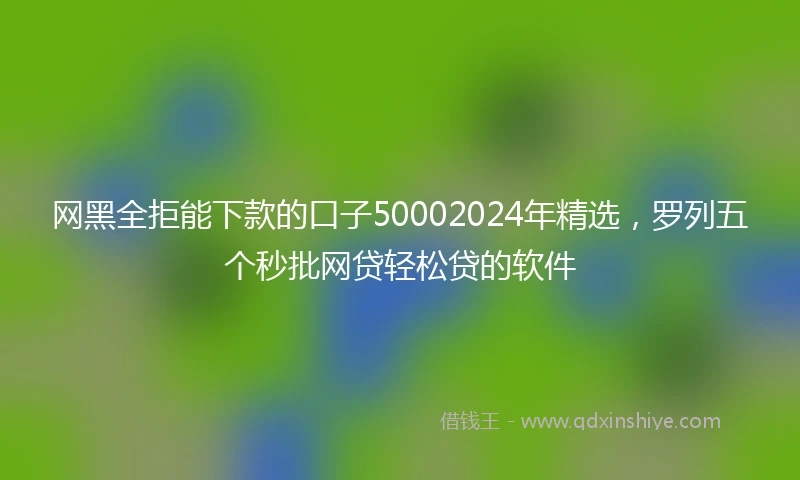 网黑全拒能下款的口子50002024年精选，罗列五个秒批网贷轻松贷的软件