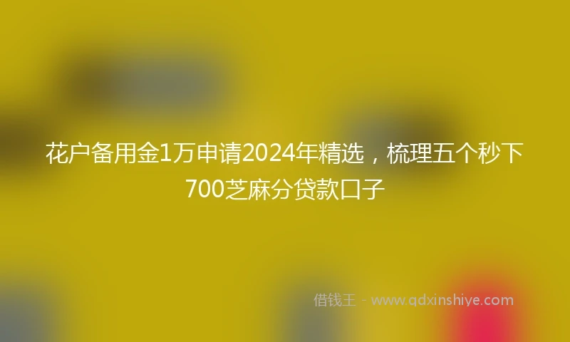 花户备用金1万申请2024年精选，梳理五个秒下700芝麻分贷款口子