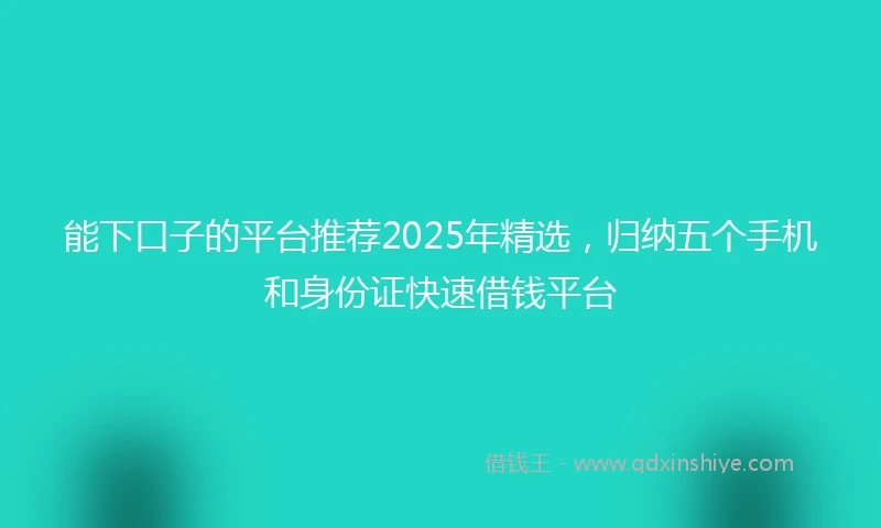 能下口子的平台推荐2025年精选，归纳五个手机和身份证快速借钱平台