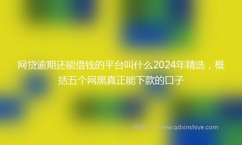 网贷逾期还能借钱的平台叫什么2024年精选，概括五个网黑真正能下款的口子