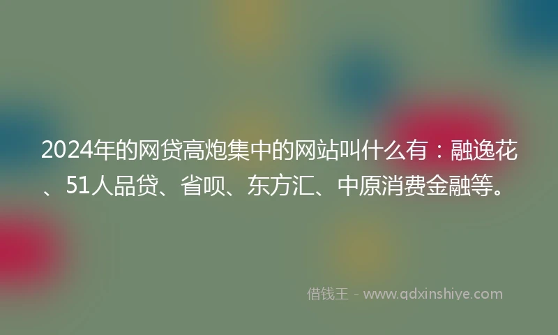 2024年的网贷高炮集中的网站叫什么有：融逸花、51人品贷、省呗、东方汇、中原消费金融等。
