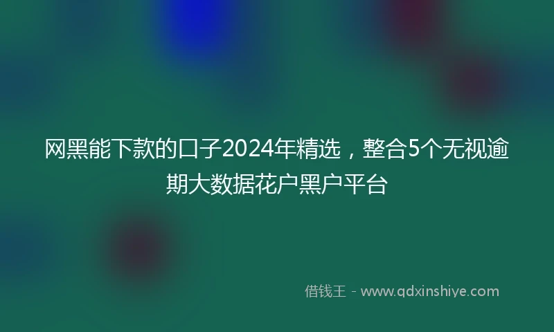 网黑能下款的口子2024年精选，整合5个无视逾期大数据花户黑户平台