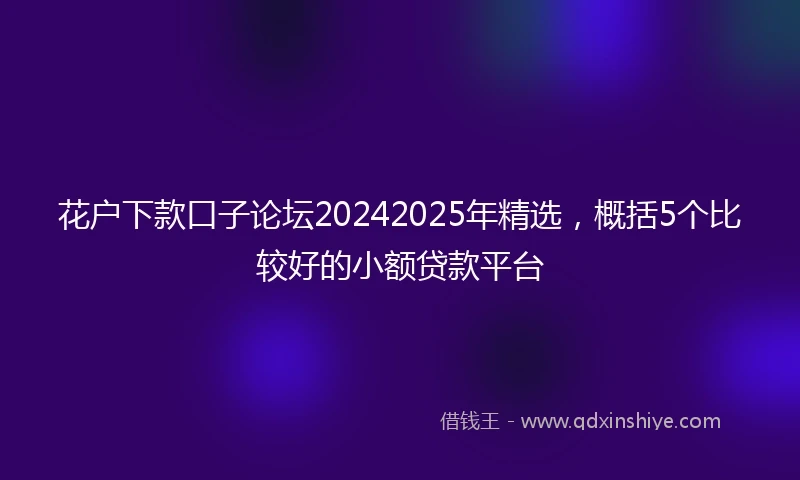 花户下款口子论坛20242025年精选，概括5个比较好的小额贷款平台