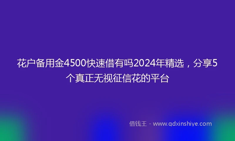 花户备用金4500快速借有吗2024年精选，分享5个真正无视征信花的平台