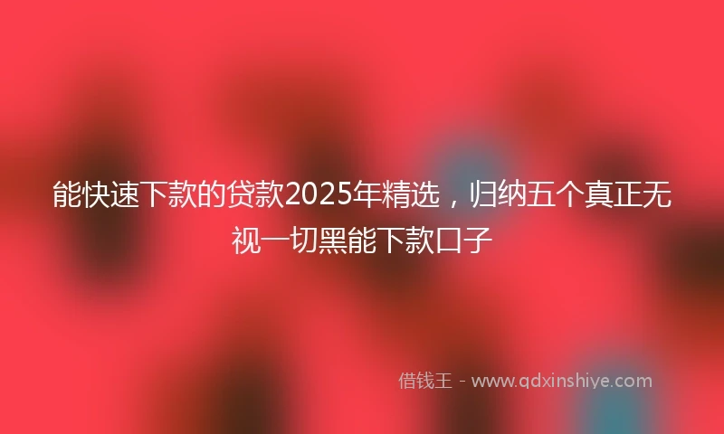 能快速下款的贷款2025年精选,归纳五个真正无视一切黑能下款口子