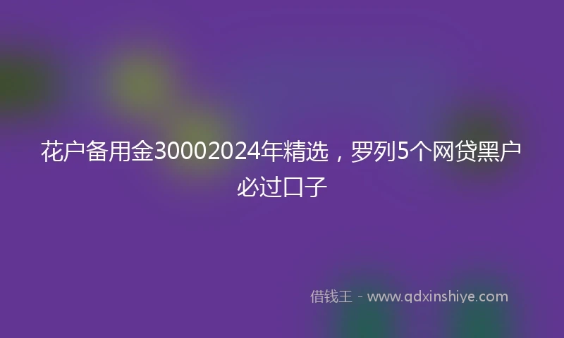 花户备用金30002024年精选，罗列5个网贷黑户必过口子