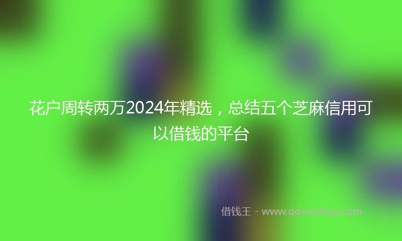 花户周转两万2024年精选，总结五个芝麻信用可以借钱的平台
