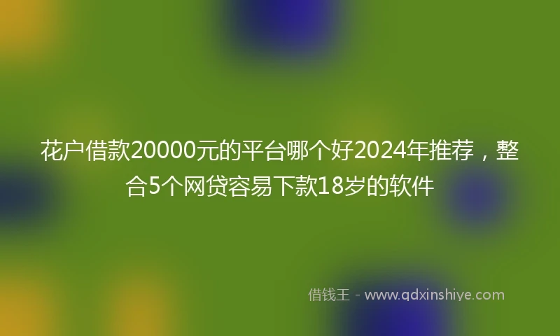 花户借款20000元的平台哪个好2024年推荐，整合5个网贷容易下款18岁的软件