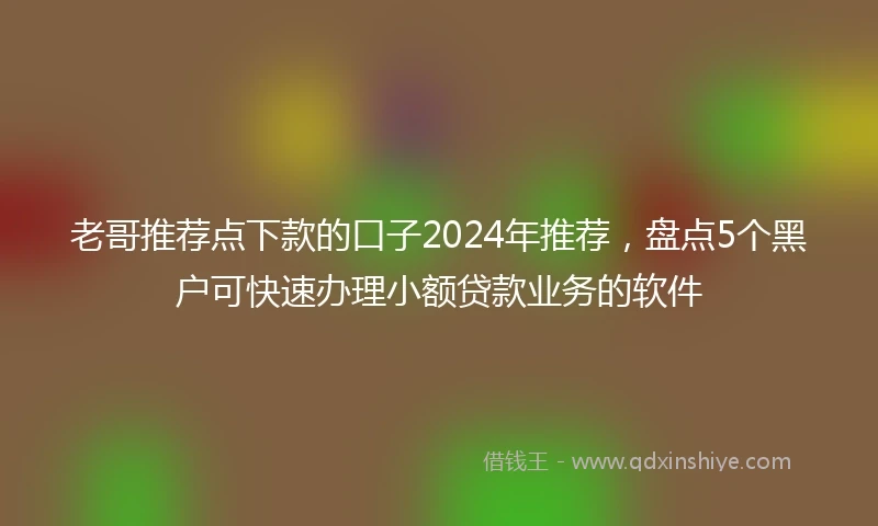 老哥推荐点下款的口子2024年推荐，盘点5个黑户可快速办理小额贷款业务的软件