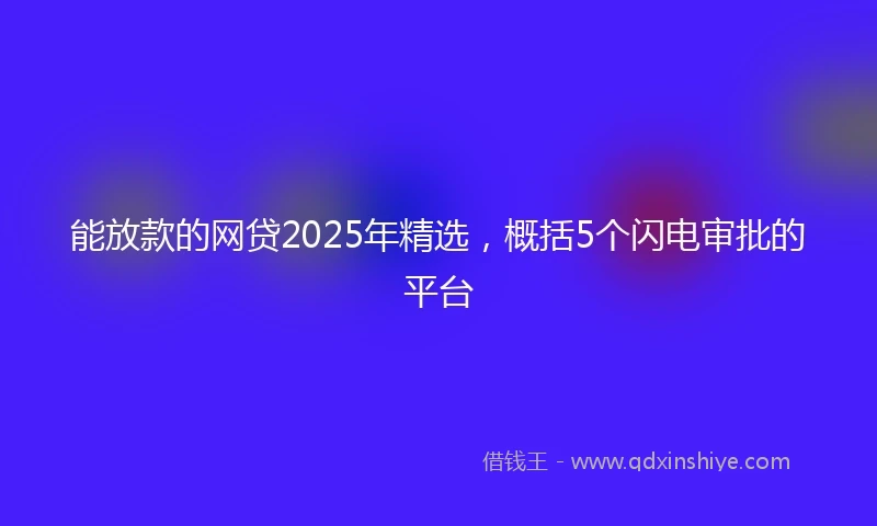 能放款的网贷2025年精选，概括5个闪电审批的平台