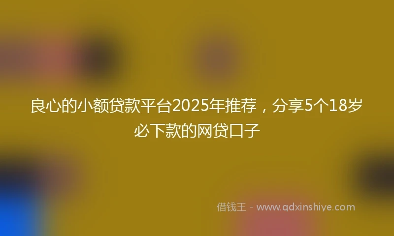 良心的小额贷款平台2025年推荐，分享5个18岁必下款的网贷口子