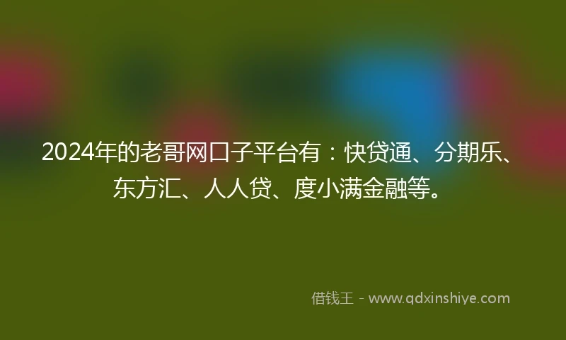 2024年的老哥网口子平台有：快贷通、分期乐、东方汇、人人贷、度小满金融等。