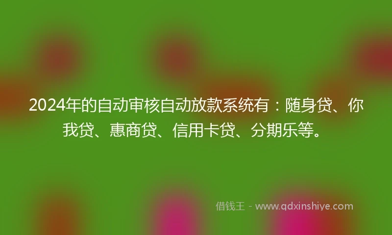 2024年的自动审核自动放款系统有：随身贷、你我贷、惠商贷、信用卡贷、分期乐等。