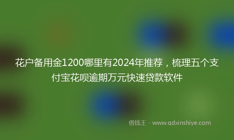 花户备用金1200哪里有2024年推荐，梳理五个支付宝花呗逾期万元快速贷款软件