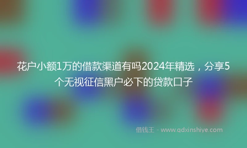 花户小额1万的借款渠道有吗2024年精选，分享5个无视征信黑户必下的贷款口子