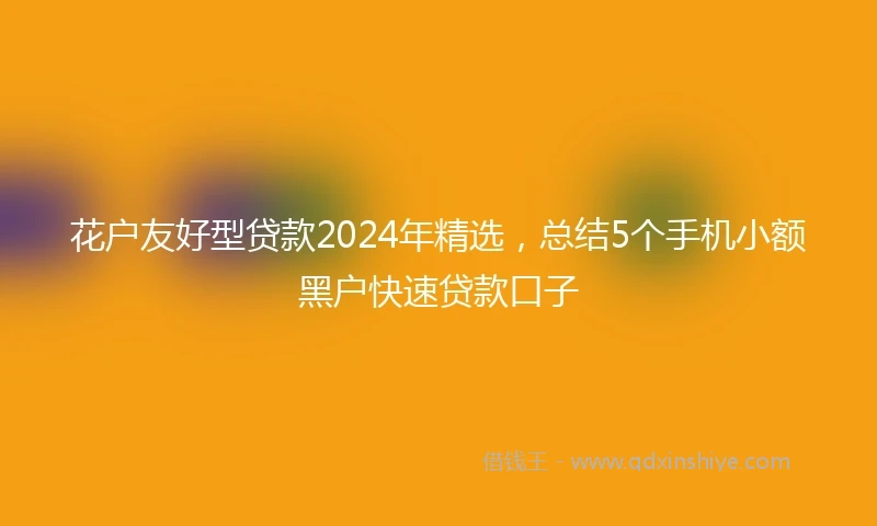 花户友好型贷款2024年精选，总结5个手机小额黑户快速贷款口子