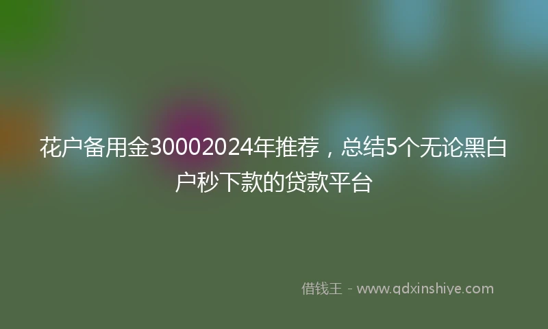 花户备用金30002024年推荐，总结5个无论黑白户秒下款的贷款平台