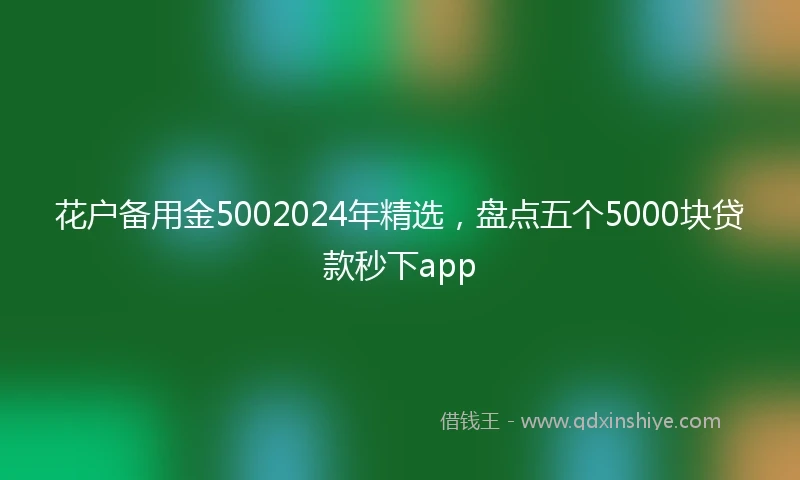 花户备用金5002024年精选，盘点五个5000块贷款秒下app