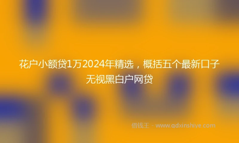 花户小额贷1万2024年精选，概括五个最新口子无视黑白户网贷