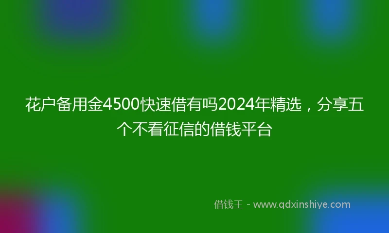 花户备用金4500快速借有吗2024年精选，分享五个不看征信的借钱平台