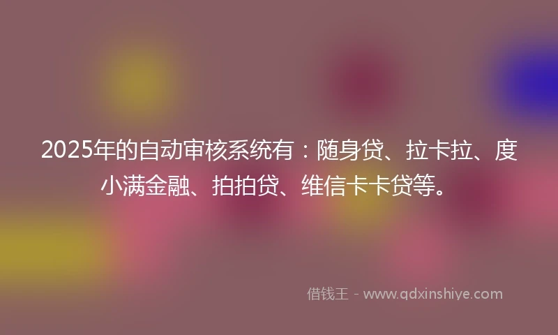 2025年的自动审核系统有：随身贷、拉卡拉、度小满金融、拍拍贷、维信卡卡贷等。