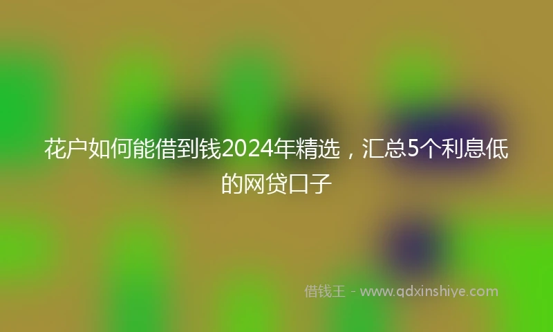 花户如何能借到钱2024年精选，汇总5个利息低的网贷口子