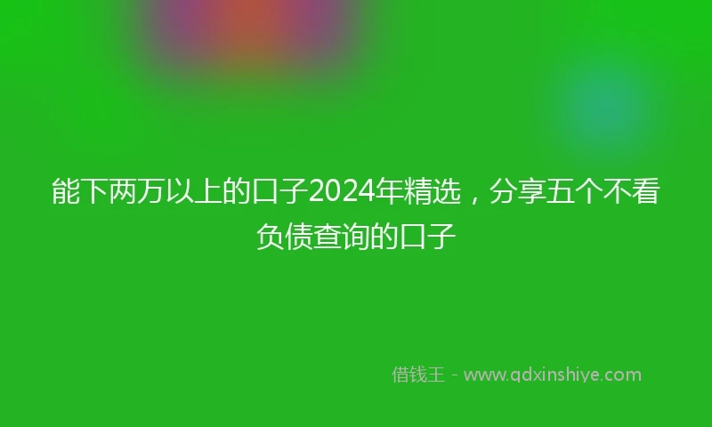 能下两万以上的口子2024年精选，分享五个不看负债查询的口子