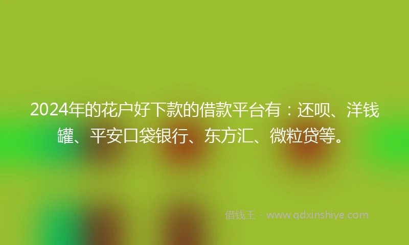 2024年的花户好下款的借款平台有：还呗、洋钱罐、平安口袋银行、东方汇、微粒贷等。